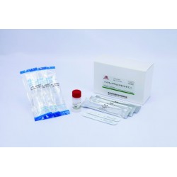 Allergén laterális rapid tesztcsík KIT - Kazein