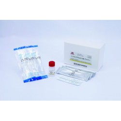 Allergén laterális rapid tesztcsík PRO KIT - Glutén