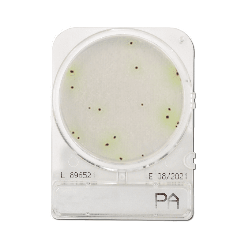 Pseudomonas aeruginosa meghatározásához, Compact Dry PA mikrobiológiai gyorsteszt