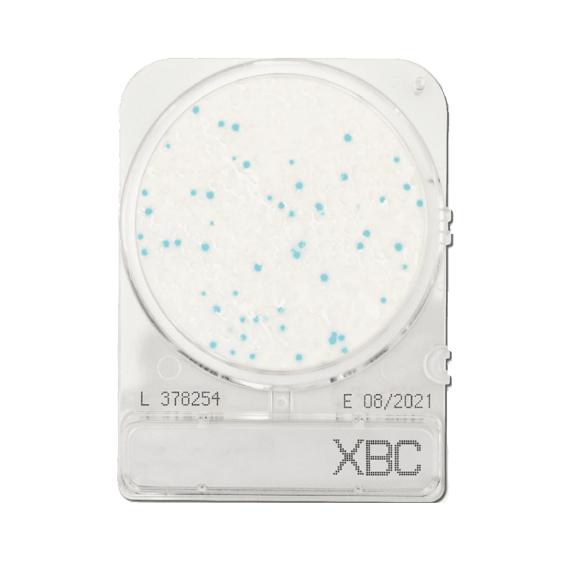 Bacillus cereus meghatározásához, Compact Dry XBC mikrobiológiai gyorsteszt