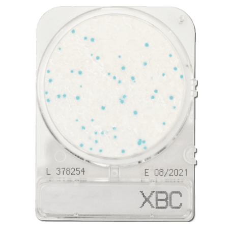 Bacillus cereus meghatározásához, Compact Dry XBC mikrobiológiai gyorsteszt