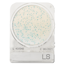 Listeria meghatározásához, Compact Dry LS mikrobiológiai gyorsteszt
