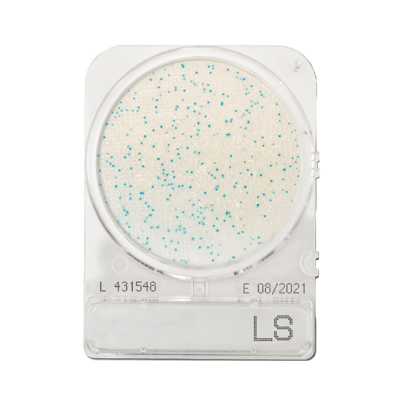 Listeria meghatározásához, Compact Dry LS mikrobiológiai gyorsteszt