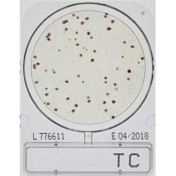 Összcsíraszám meghatározásához, Compact Dry TC mikrobiológiai gyorsteszt