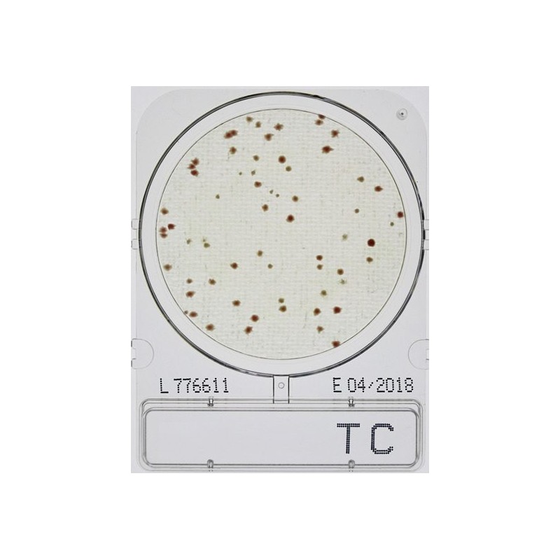 Összcsíraszám meghatározásához, Compact Dry TC mikrobiológiai gyorsteszt
