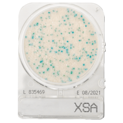 Staphylococcus aureus meghatározásához, Compact Dry X-SA mikrobiológiai gyorsteszt