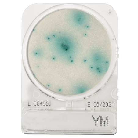 Penész és élesztő meghatározásához, Compact Dry YM mikrobiológiai gyorsteszt