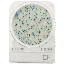 Coliform meghatározásához, Compact Dry CF mikrobiológiai gyorsteszt