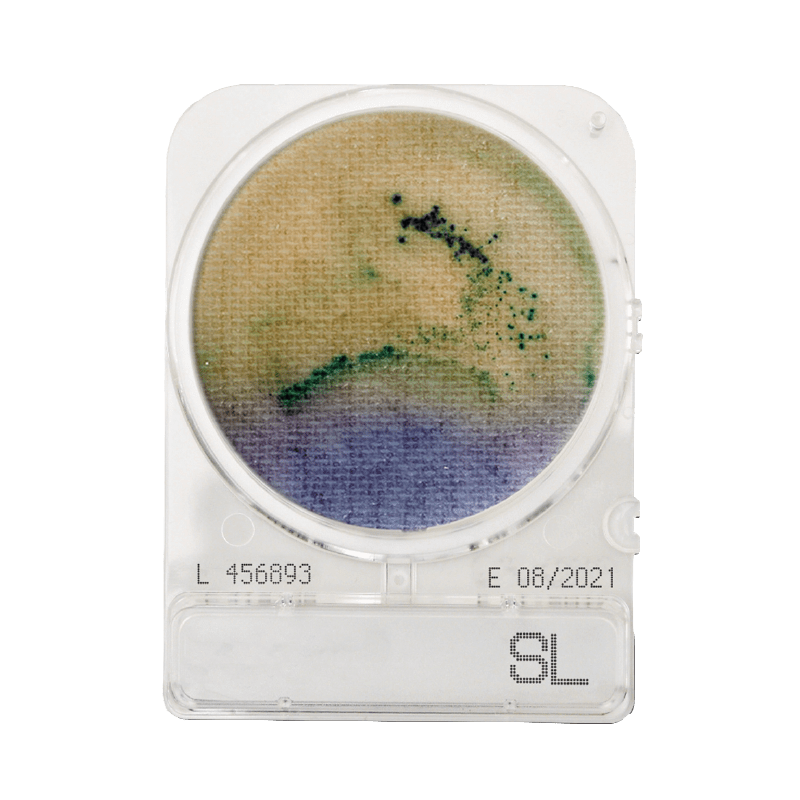 Salmonella (szalmonella) meghatározásához, Compact Dry SL mikrobiológiai gyorsteszt