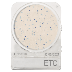 Enterococcus meghatározásához, Compact Dry ETC mikrobiológiai gyorsteszt