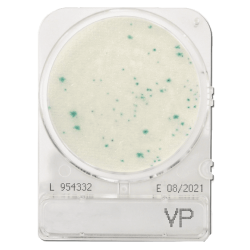 Vibrio parahaemolyticus meghatározásához, Compact Dry VP mikrobiológiai gyorsteszt