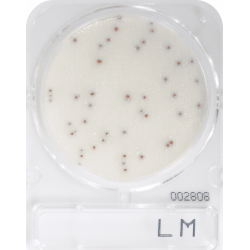 Listeria monocytogenes meghatározásához, Compact Dry LM mikrobiológiai gyorsteszt