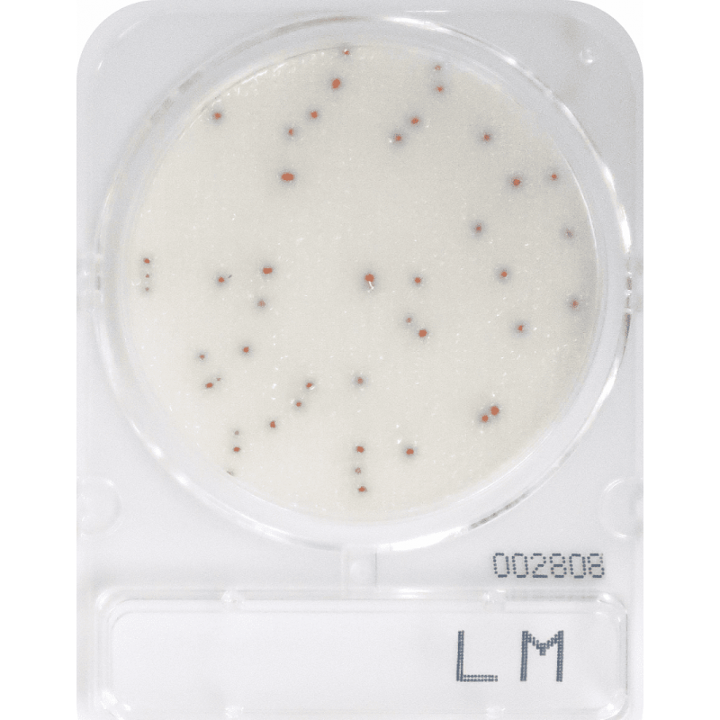 Listeria monocytogenes meghatározásához, Compact Dry LM mikrobiológiai gyorsteszt