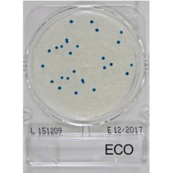 Compact Dry ECO mikrobiológiai gyorsteszt E.coli...